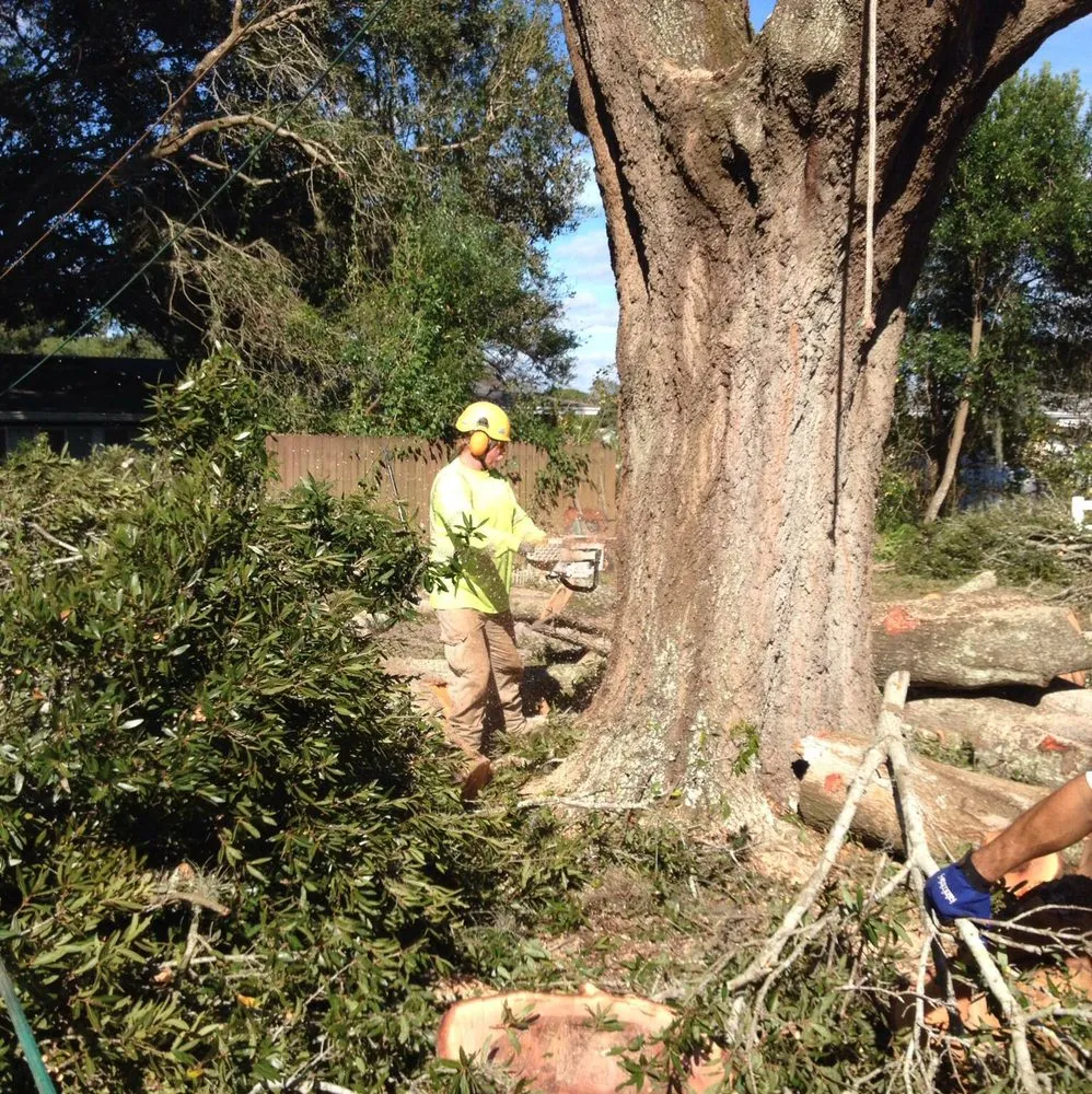 Top-rated landscaping services in Deland, FL - Roeling Green Lawns