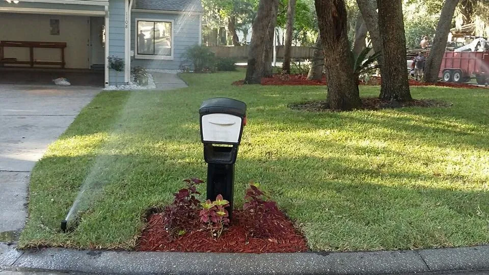 Professional lawn care service near you in Deland, FL by Roeling Green Lawns