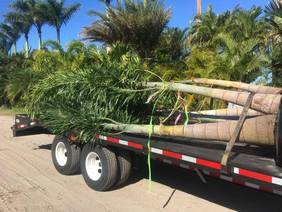 Affordable lawn care service in Deland, FL by Roeling Green Lawns