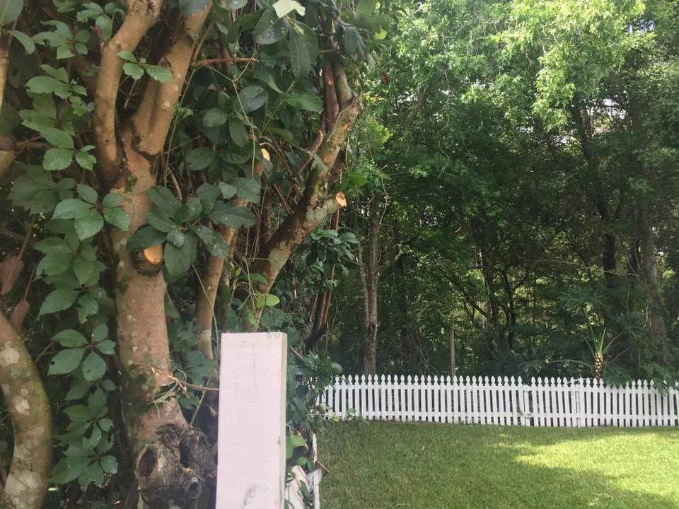 Custom yard maintenance for year-round maintenance in Deland, FL by Roeling Green Lawns