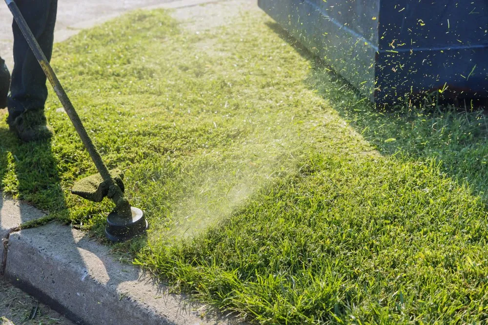 Local yard cleanup service experts serving Riviera Beach, FL - Rofopar Enterprise
