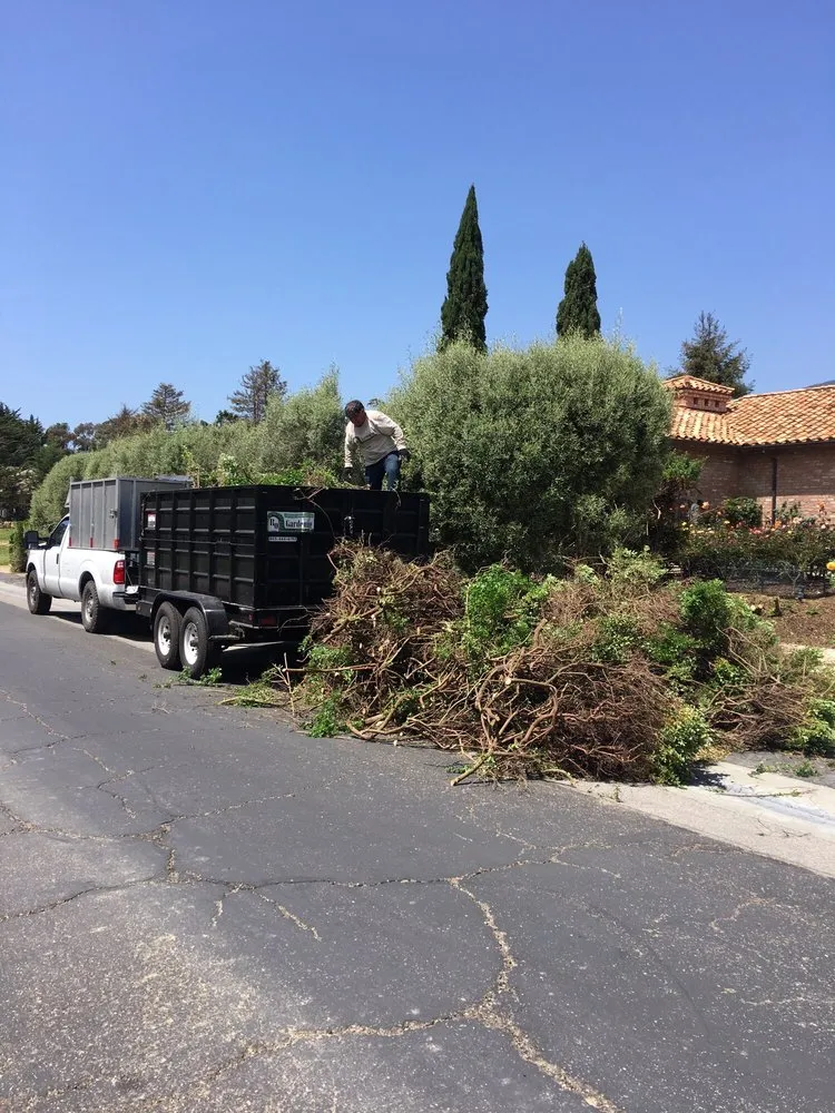 Custom lawn mowing service in Santa Paula, CA by R.O.Gardening & Landscape Maintenance