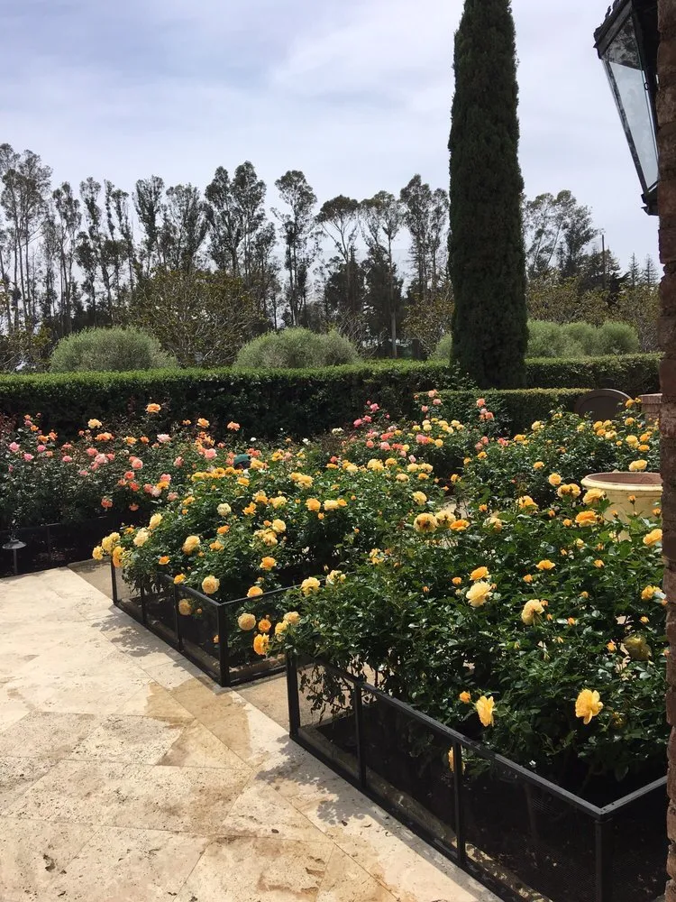 Trusted garden landscaping experts serving Santa Paula, CA - R.O.Gardening & Landscape Maintenance