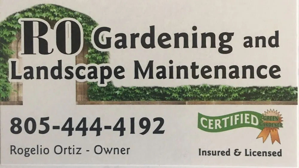 Affordable yard cleanup service near you in Santa Paula, CA by R.O.Gardening & Landscape Maintenance