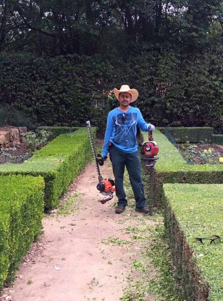 Custom landscape design for year-round maintenance across Santa Paula, CA - R.O.Gardening & Landscape Maintenance