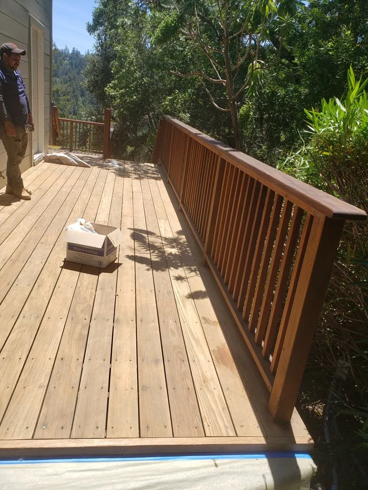 Trusted yard maintenance in Richmond, CA by Rogel Construction