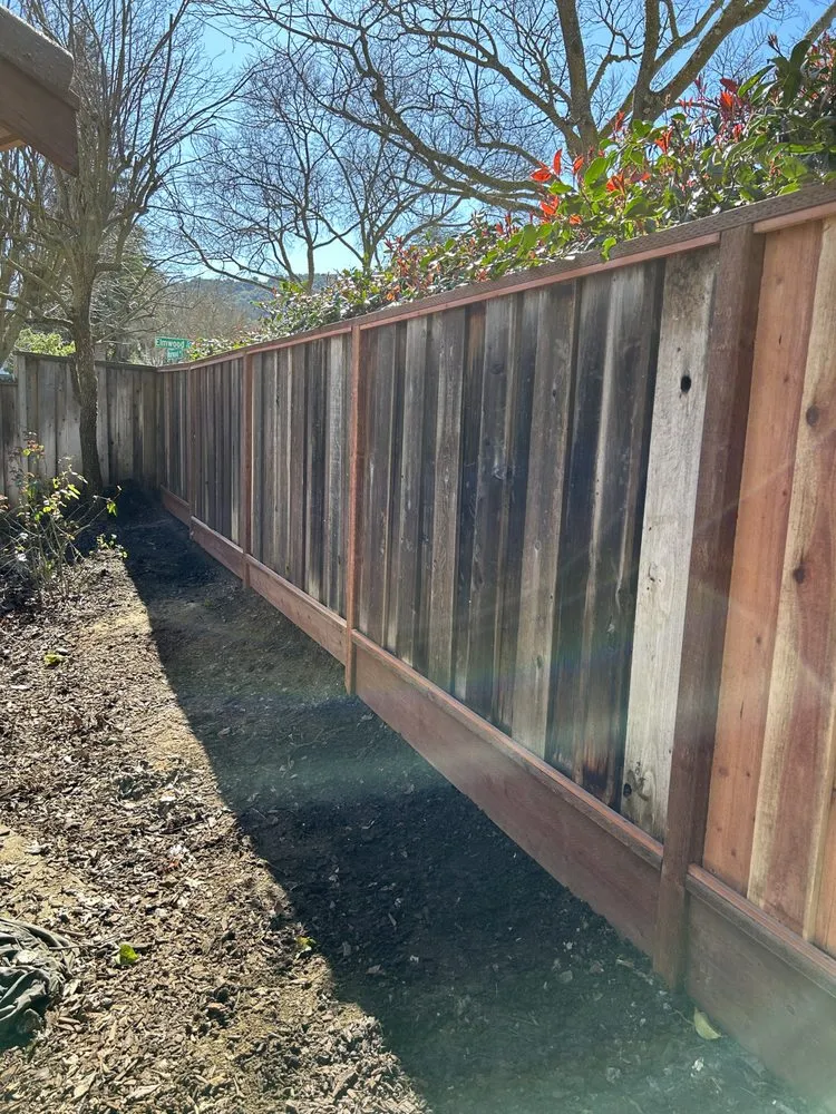 Trusted lawn care service experts serving Richmond, CA - Rogel Construction