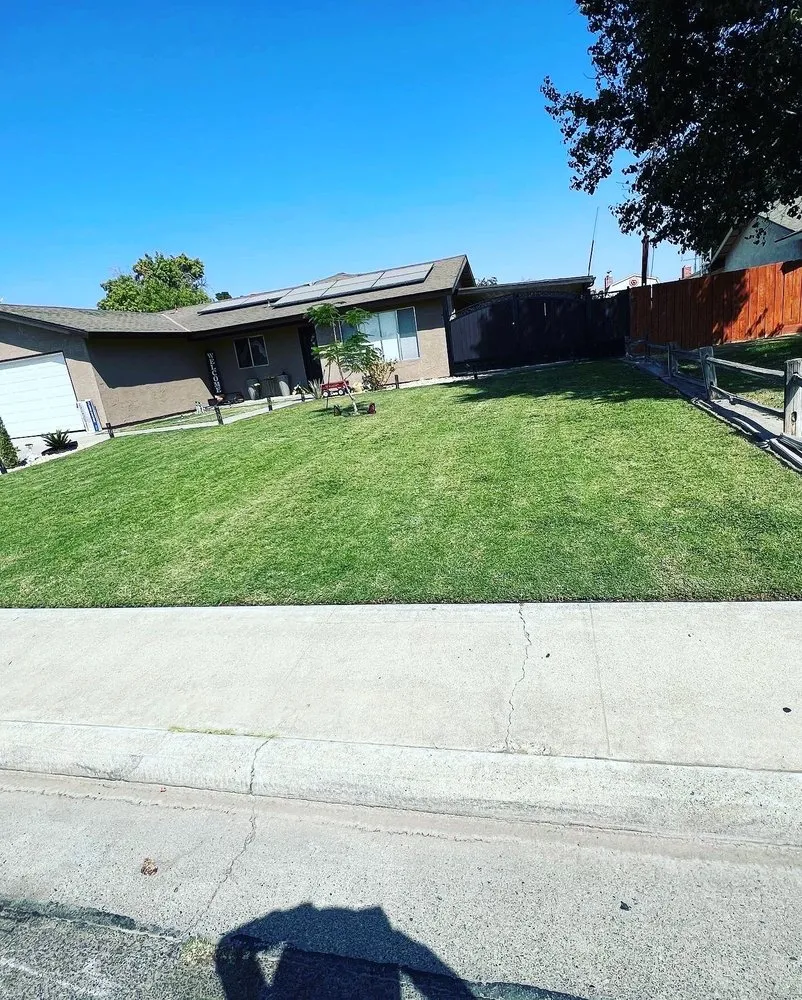 Professional landscape design in Orosi, CA by Rogelio Landscaping