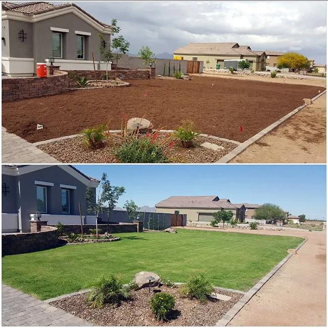 Professional landscape design in Orosi, CA by Rogelio Landscaping