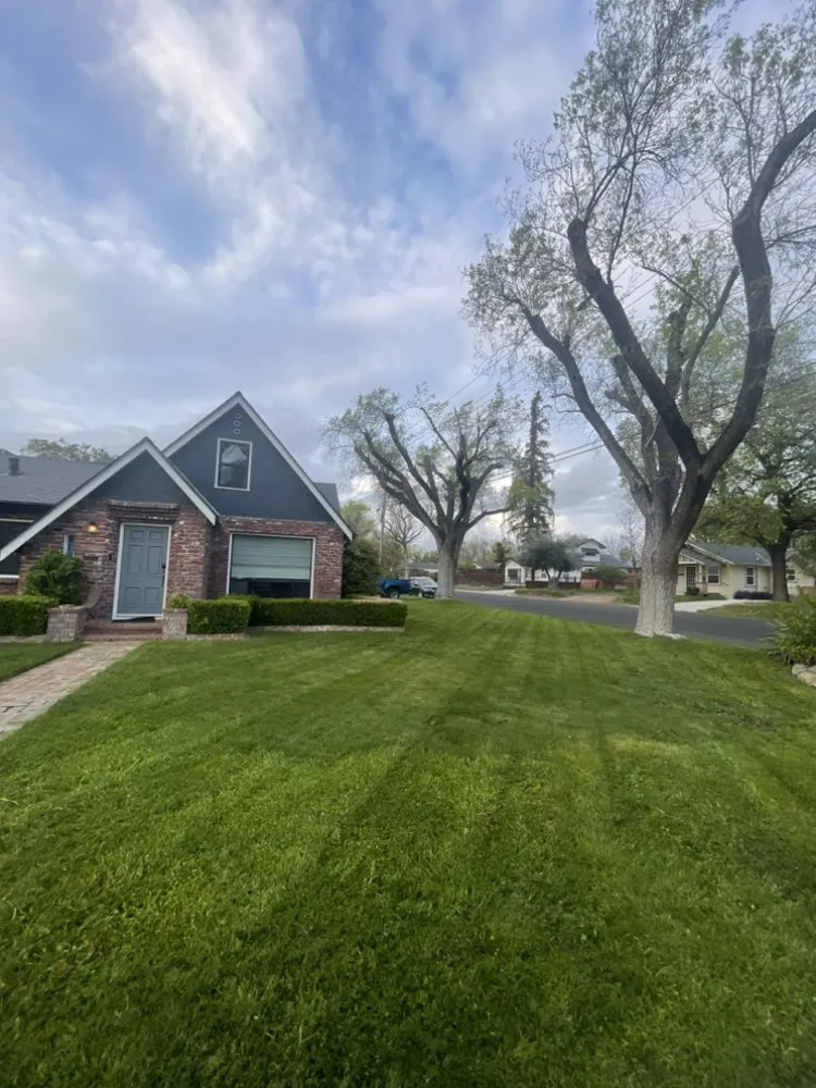 Affordable landscape installation in Modesto, CA by Rogelio Landscaping Services