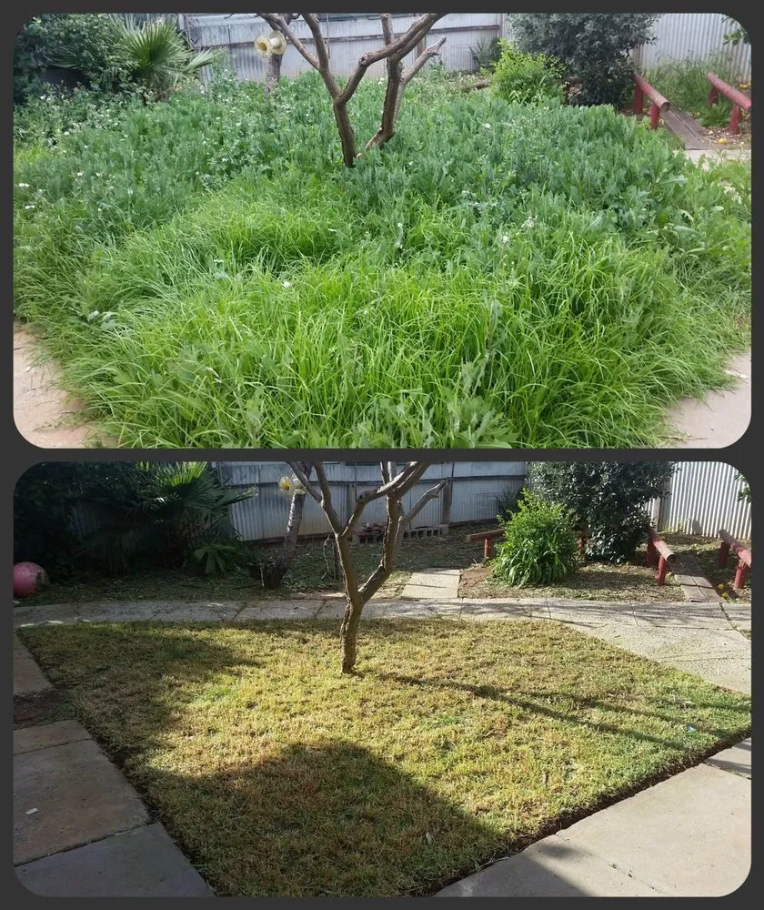 Expert yard cleanup service experts serving Modesto, CA - Rogelio Landscaping Services