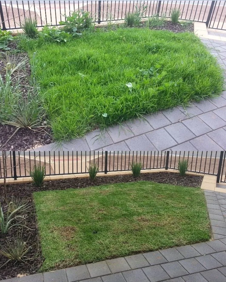 Affordable landscaping services for outdoor upgrades in Modesto, CA by Rogelio Landscaping Services