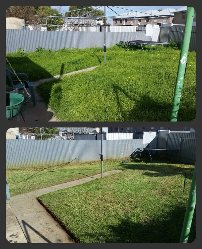 Local yard maintenance experts serving Modesto, CA - Rogelio Landscaping Services