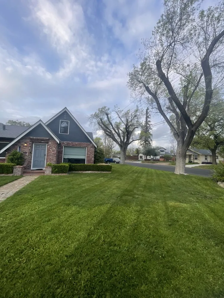 Top-rated landscape design in Modesto, CA by Rogelio Landscaping Services