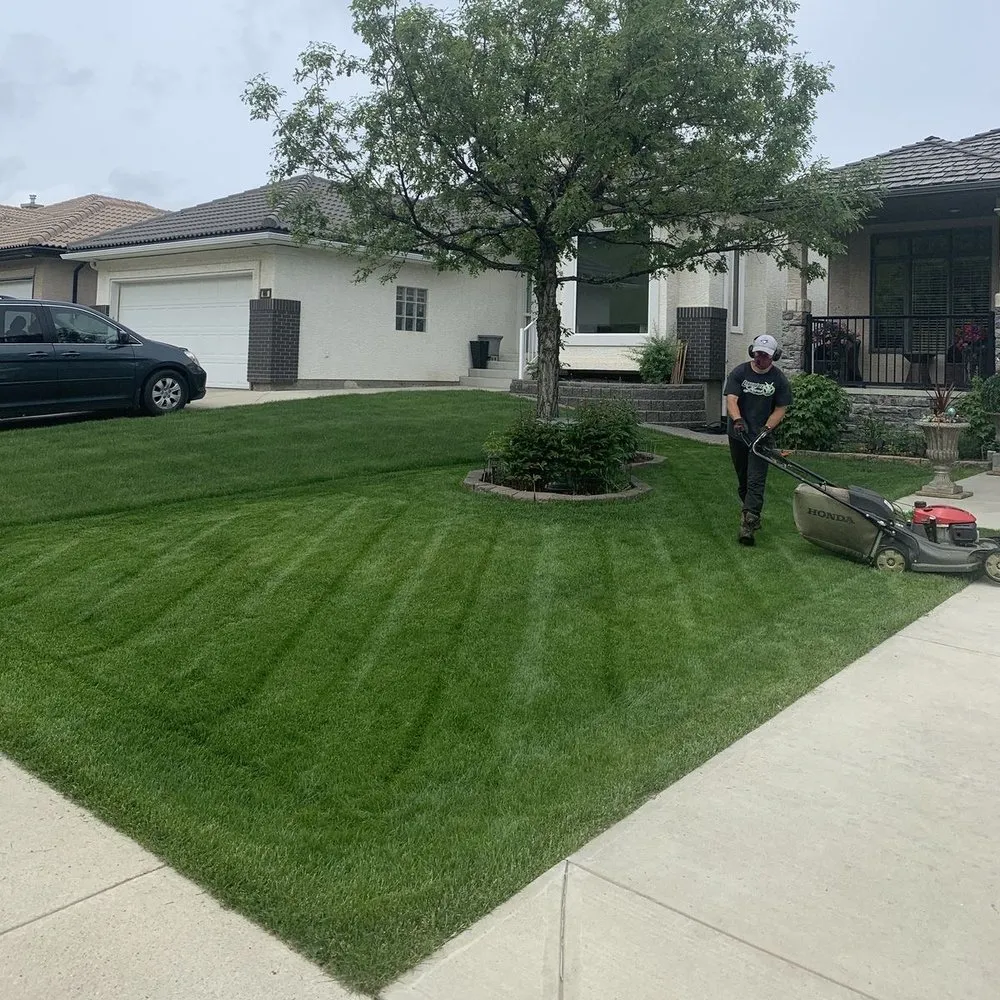 Expert lawn care service in Modesto, CA - Rogelio Landscaping Services