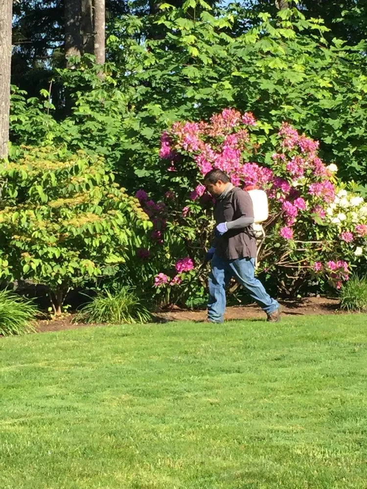 Top-rated garden landscaping in Junction City, OR - Rogelio's Lawn Care