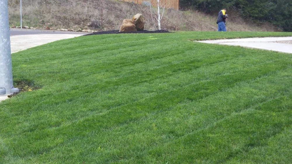 Reliable lawn mowing service for outdoor upgrades in Junction City, OR by Rogelio's Lawn Care