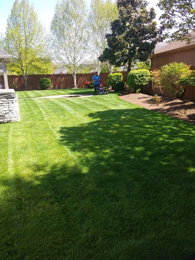 Affordable landscape installation experts serving Junction City, OR - Rogelio's Lawn Care