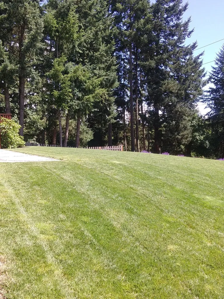 Professional landscape installation experts serving Junction City, OR - Rogelio's Lawn Care