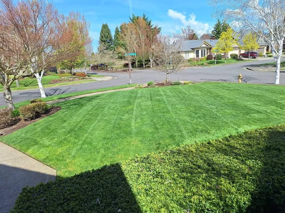 Top-rated garden landscaping with custom design across Junction City, OR - Rogelio's Lawn Care