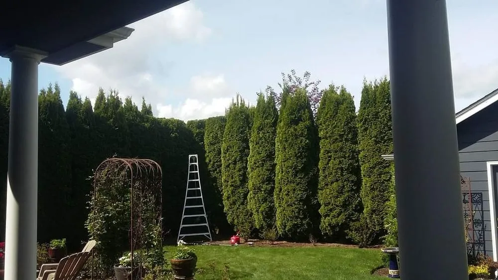 Professional landscape design in Junction City, OR - Rogelio's Lawn Care