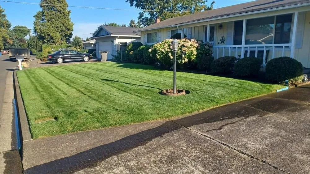 Reliable landscape design in Junction City, OR - Rogelio's Lawn Care