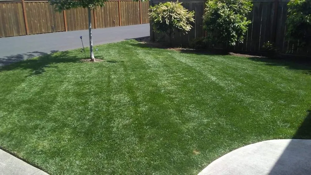 Reliable garden landscaping experts serving Junction City, OR - Rogelio's Lawn Care