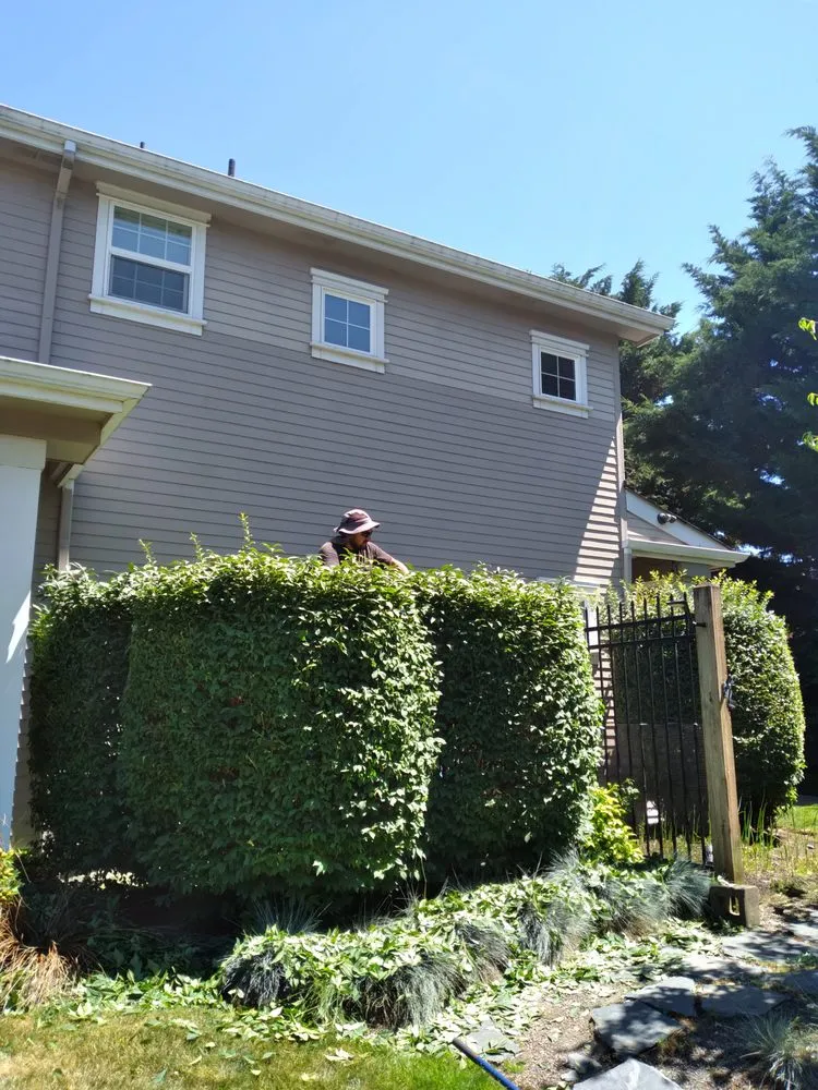 Expert outdoor landscaping experts serving Junction City, OR - Rogelio's Lawn Care