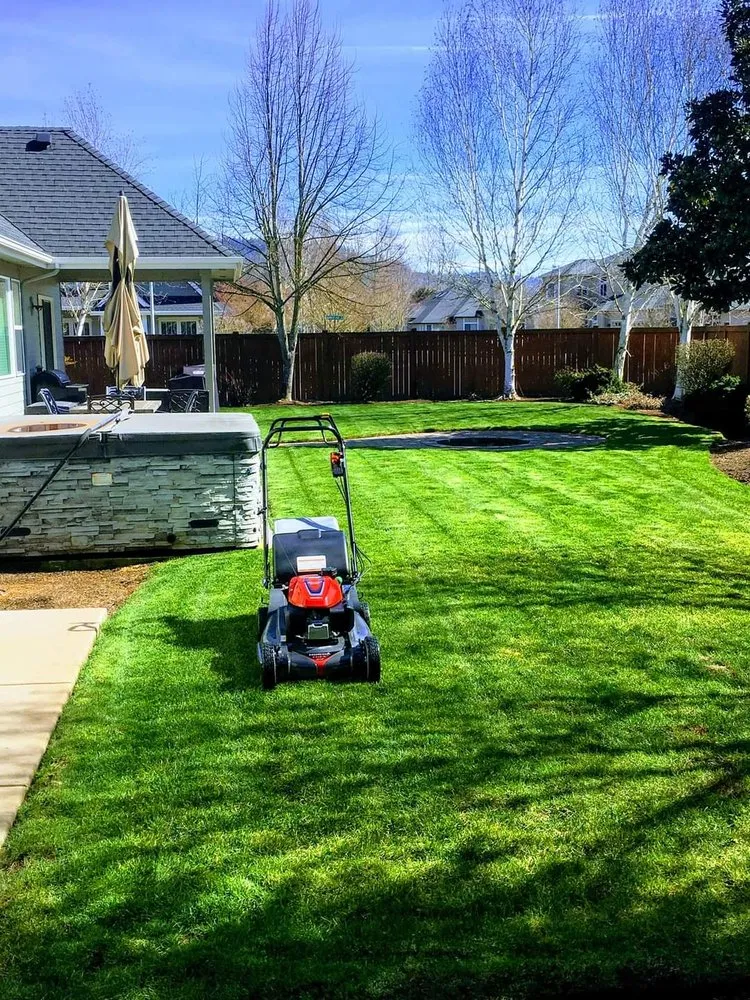 Custom lawn care service in Junction City, OR by Rogelio's Lawn Care