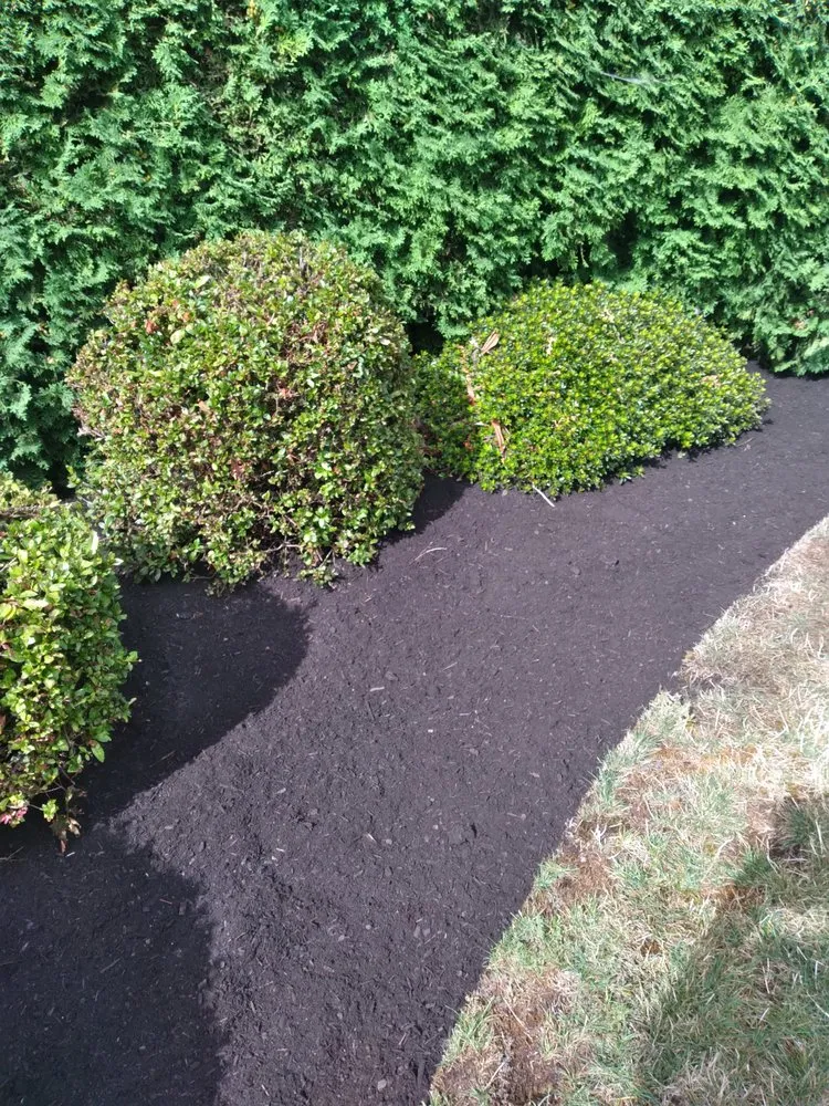 Custom lawn mowing service in Junction City, OR by Rogelio's Lawn Care