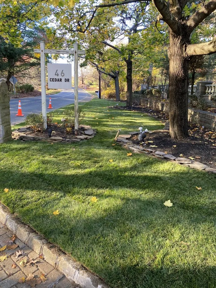Custom yard cleanup service for homes across Trenton, NJ - Rogelio’s