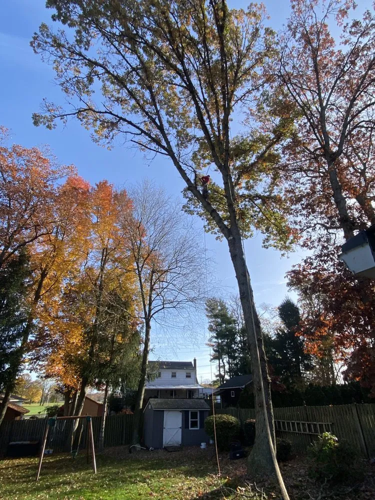 Reliable garden landscaping for residential properties in Trenton, NJ by Rogelio’s