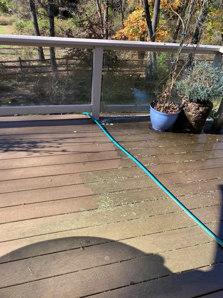 Professional landscape installation in Trenton, NJ by Rogelio’s