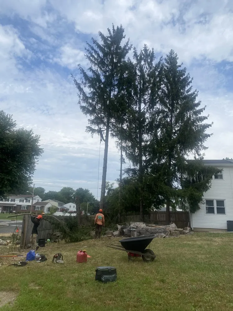 Trusted lawn care service near you across Trenton, NJ - Rogelio’s