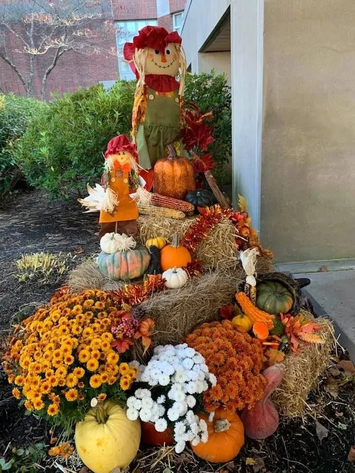 Affordable landscaping services in Framingham, MA by Roger B. Sturgis & Associates