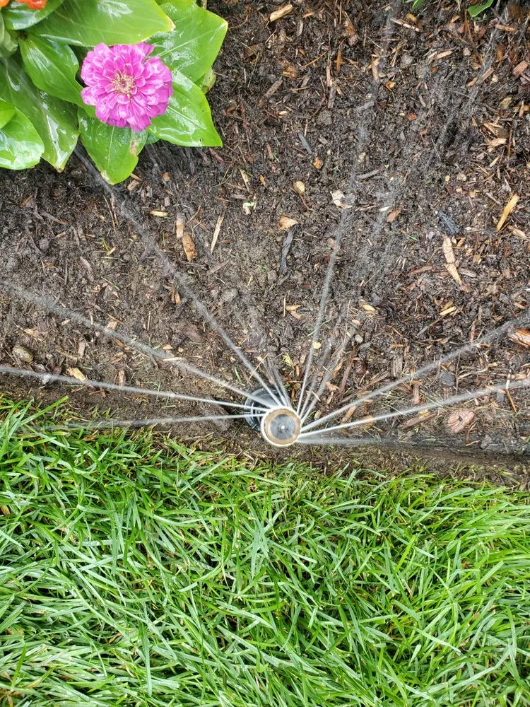 Trusted landscaping services experts serving Framingham, MA - Roger B. Sturgis & Associates