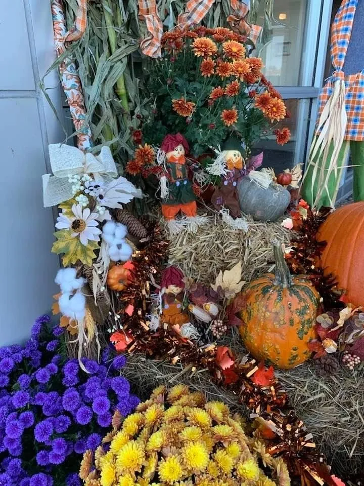 Top-rated yard cleanup service in Framingham, MA - Roger B. Sturgis & Associates