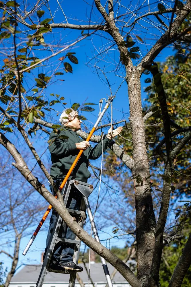 Expert yard cleanup service in Framingham, MA by Roger B. Sturgis & Associates