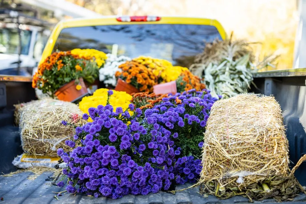 Local lawn care service experts serving Framingham, MA - Roger B. Sturgis & Associates