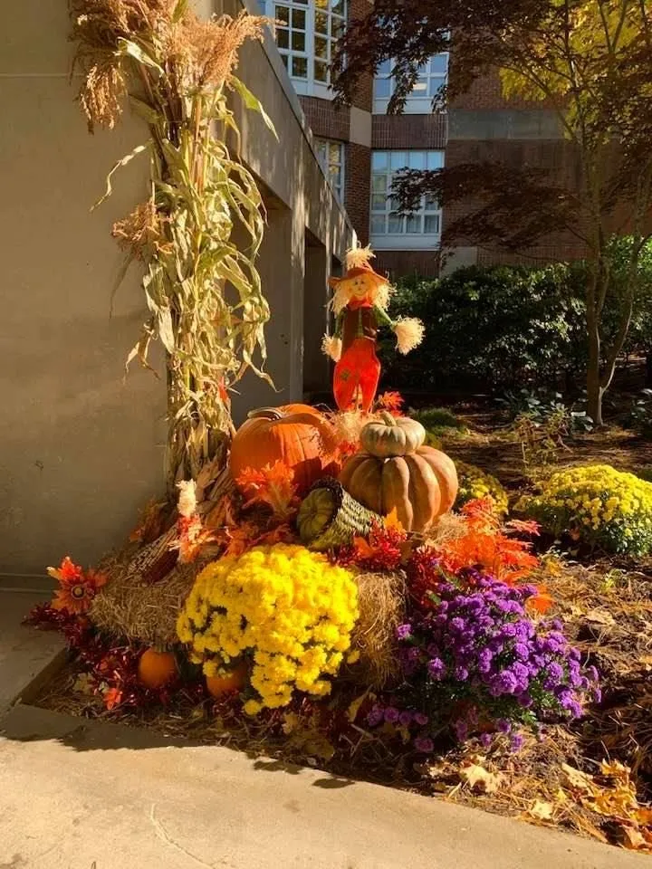 Professional lawn care service for outdoor upgrades in Framingham, MA by Roger B. Sturgis & Associates