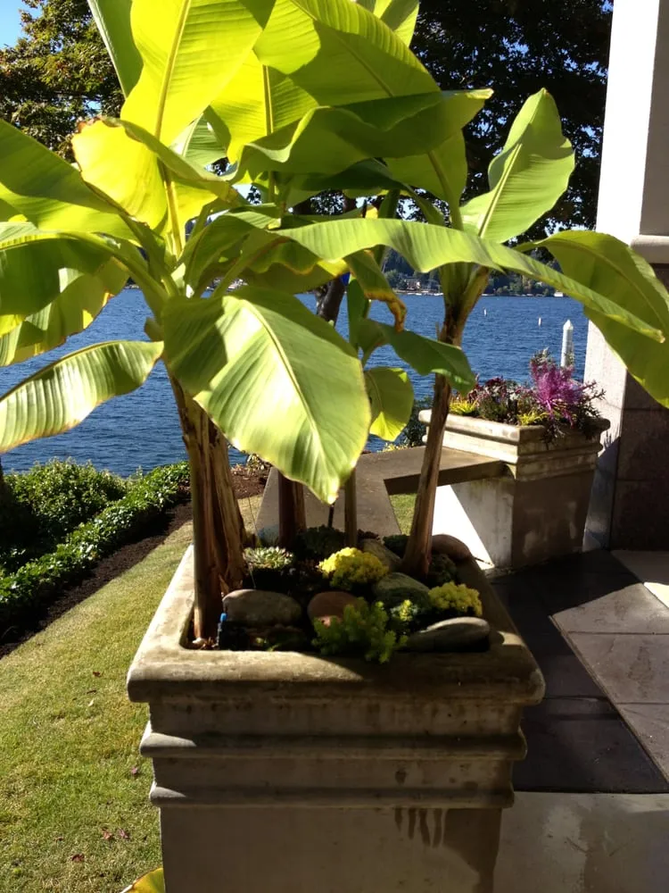 Affordable residential landscaping for residential properties in Enumclaw, WA by Roger Cross Landscaping and Nursery