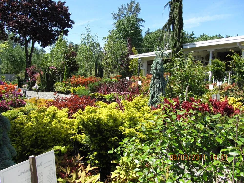 Top-rated residential landscaping for residential properties in Enumclaw, WA by Roger Cross Landscaping and Nursery
