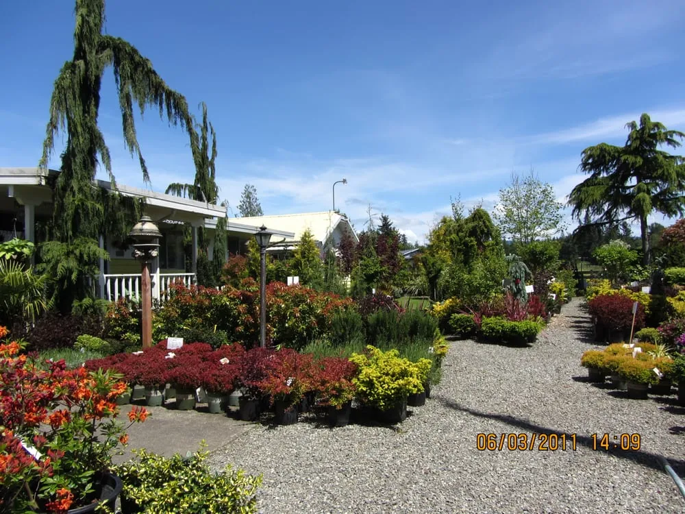 Reliable residential landscaping for year-round maintenance in Enumclaw, WA by Roger Cross Landscaping and Nursery