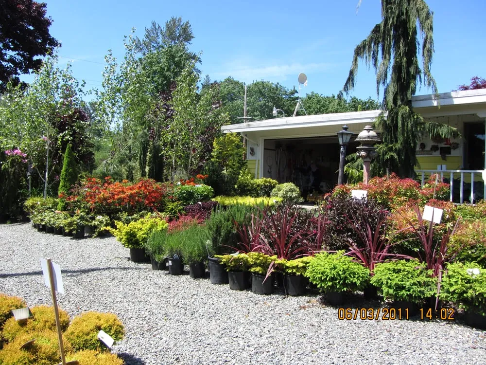 Custom lawn mowing service in Enumclaw, WA - Roger Cross Landscaping and Nursery
