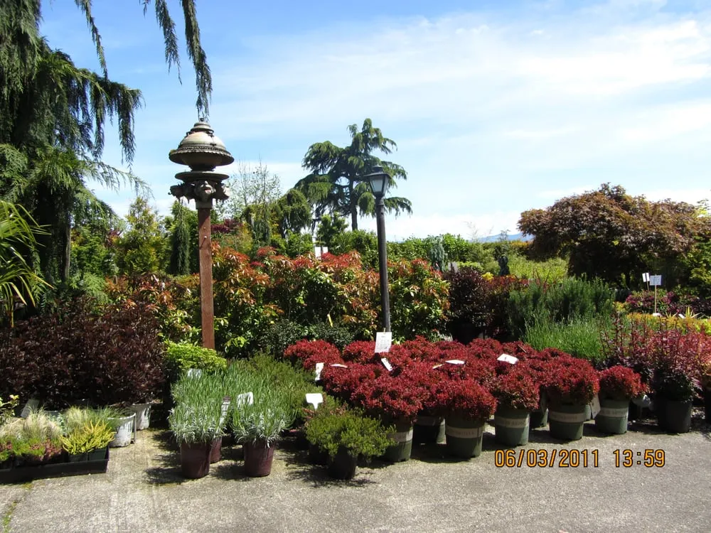 Professional garden landscaping in Enumclaw, WA - Roger Cross Landscaping and Nursery