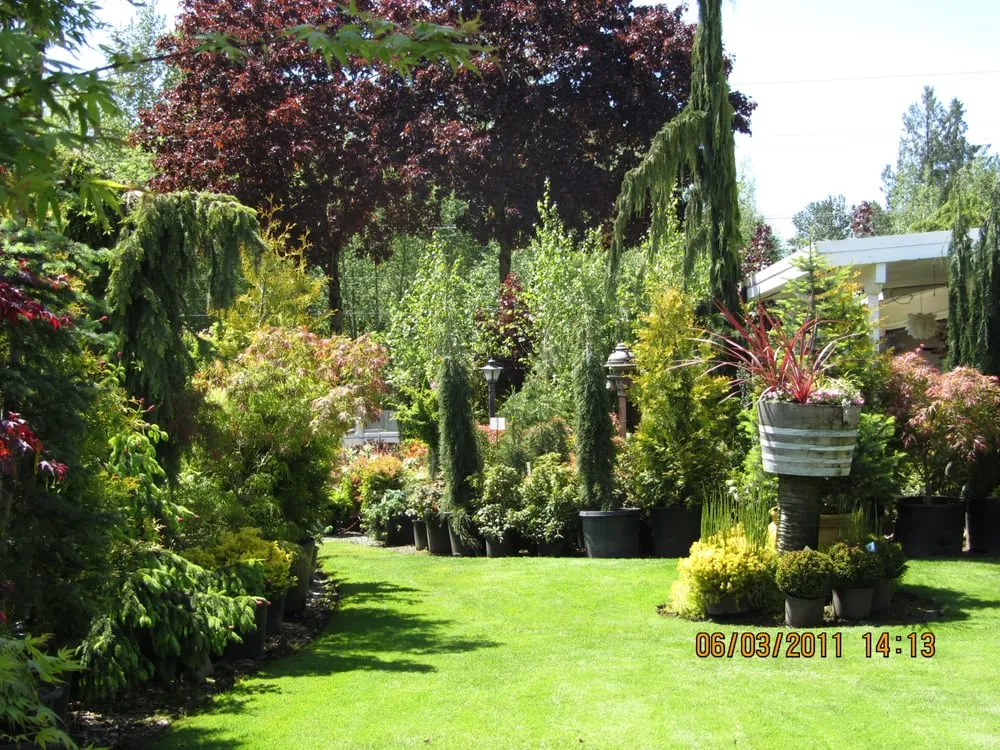 Trusted landscape design for year-round maintenance across Enumclaw, WA - Roger Cross Landscaping and Nursery