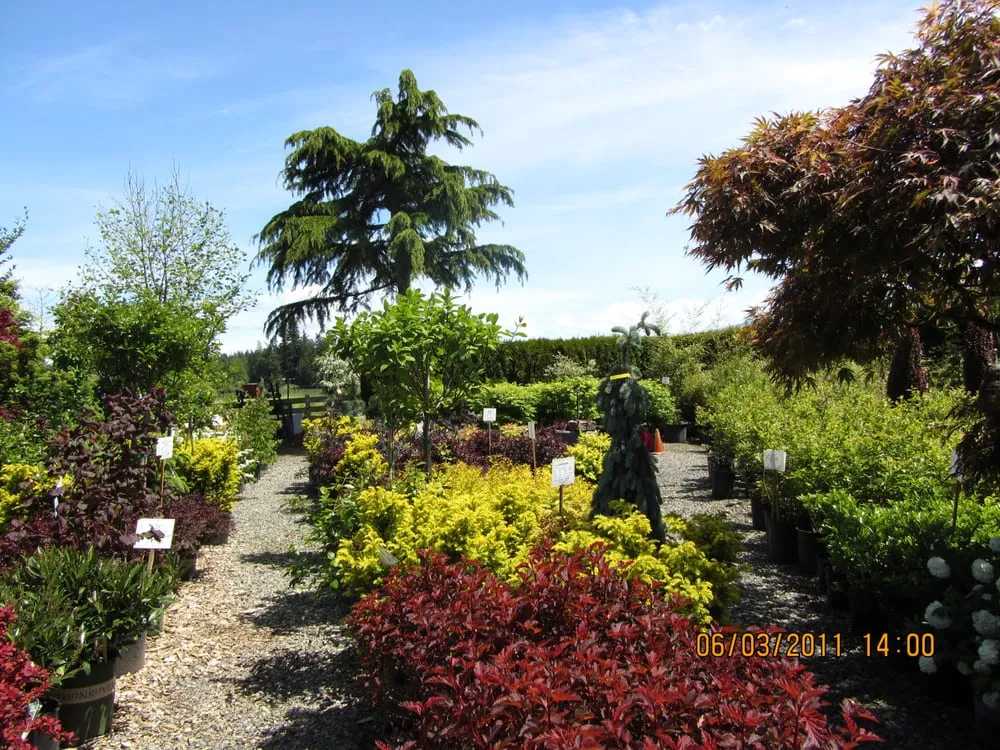 Reliable garden landscaping for outdoor upgrades in Enumclaw, WA by Roger Cross Landscaping and Nursery