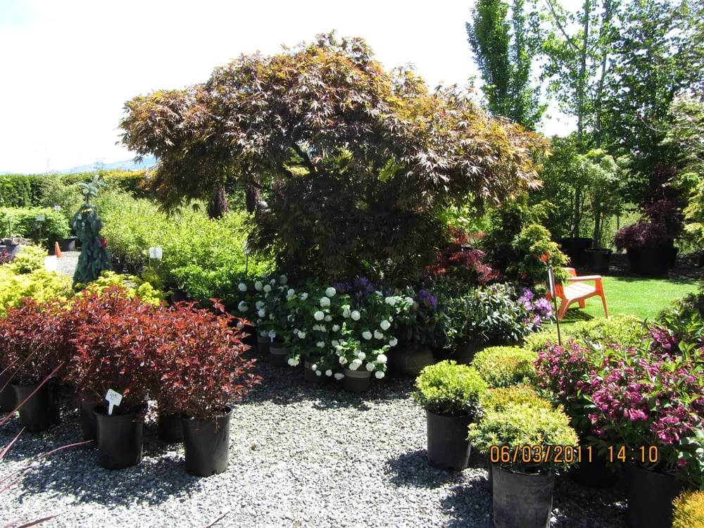 Local outdoor landscaping in Enumclaw, WA - Roger Cross Landscaping and Nursery