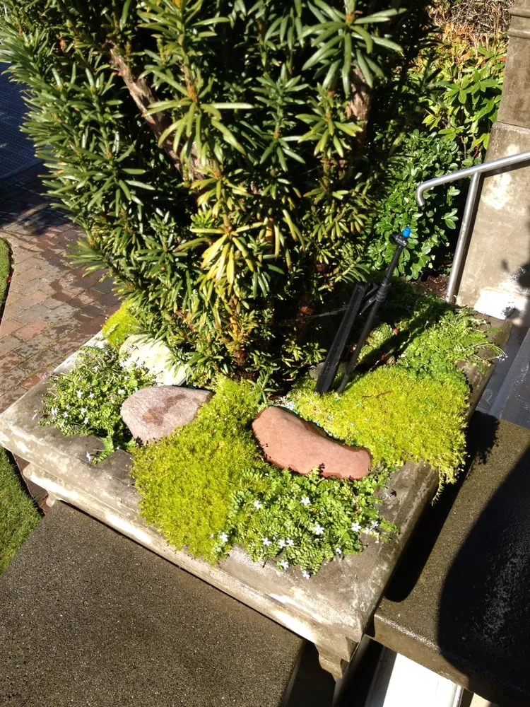 Local lawn care service for residential properties in Enumclaw, WA by Roger Cross Landscaping and Nursery