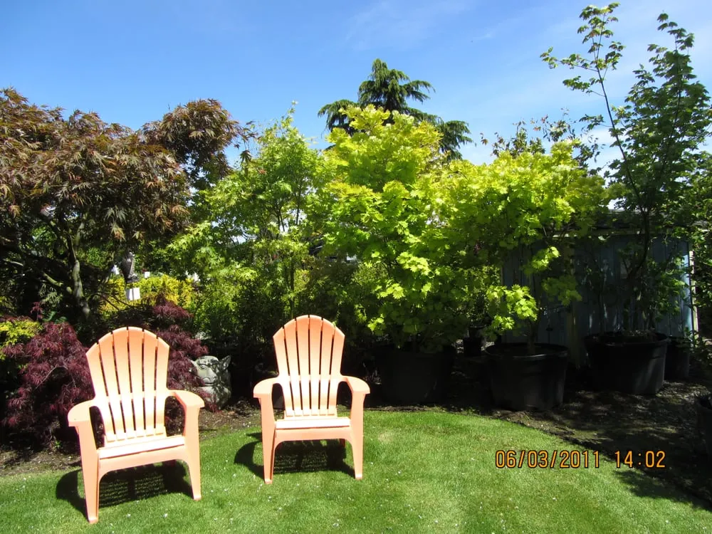 Professional lawn mowing service for beautiful yards in Enumclaw, WA by Roger Cross Landscaping and Nursery